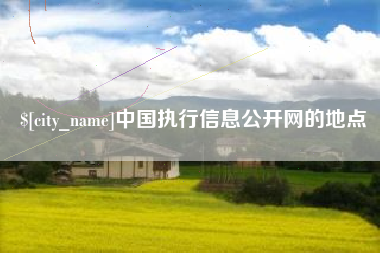 平邑中国执行信息公开网的地点