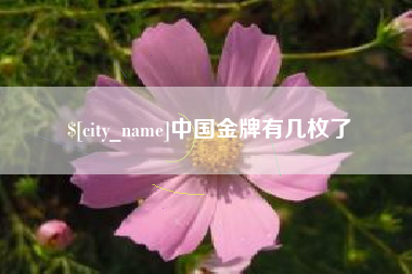 平邑中国金牌有几枚了