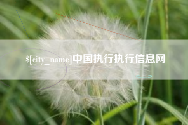 平邑中国执行执行信息网