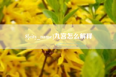 平邑九宫怎么解释