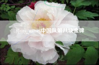 平邑中国队第八块金牌