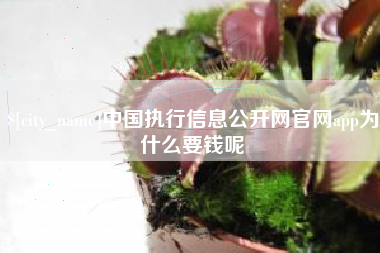 平邑中国执行信息公开网官网app为什么要钱呢