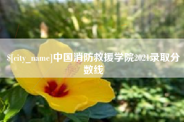 平邑中国消防救援学院2021录取分数线