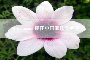 平邑现在中国哪几个金牌
