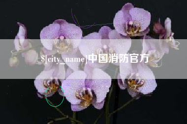 平邑中国消防官方