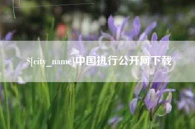 平邑中国执行公开网下载