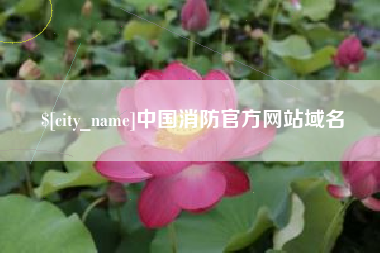 平邑中国消防官方网站域名
