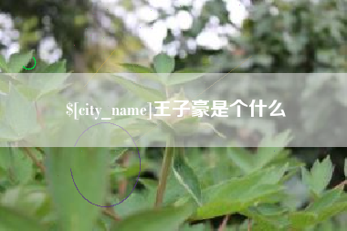 平邑王子豪是个什么
