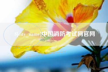 平邑中国消防考试网官网