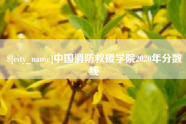 平邑中国消防救援学院2020年分数线