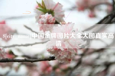 平邑中国金牌图片大全大图真实高清