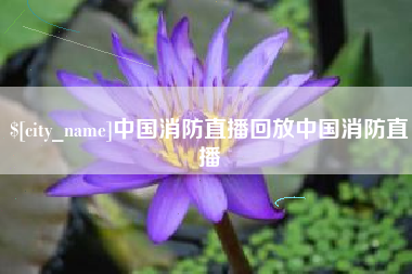 平邑中国消防直播回放中国消防直播