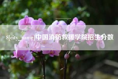平邑中国消防救援学院招生分数