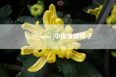 平邑中国金牌样子