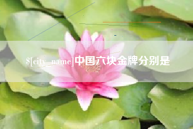 平邑中国六块金牌分别是