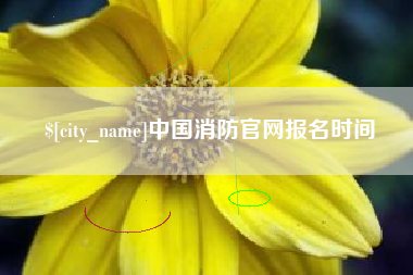 平邑中国消防官网报名时间