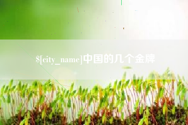 平邑中国的几个金牌