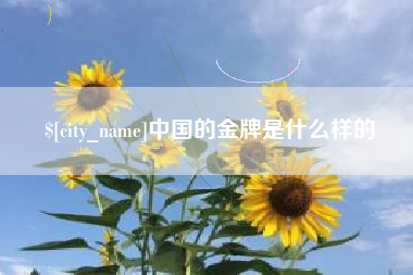平邑中国的金牌是什么样的