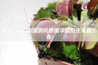 平邑中国消防救援学院招生章程公布!
