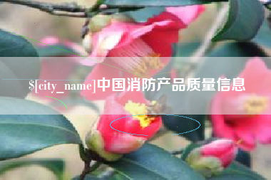 平邑中国消防产品质量信息