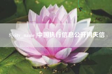 平邑中国执行信息公开网失信