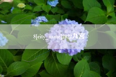 平邑2022九宫