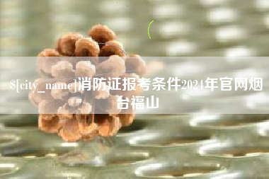 平邑消防证报考条件2024年官网烟台福山