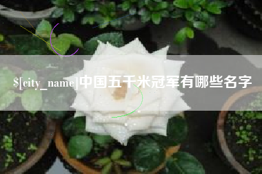 平邑中国五千米冠军有哪些名字