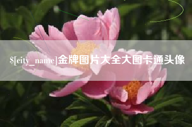 平邑金牌图片大全大图卡通头像