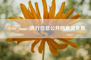 平邑执行信息公开网查询免费